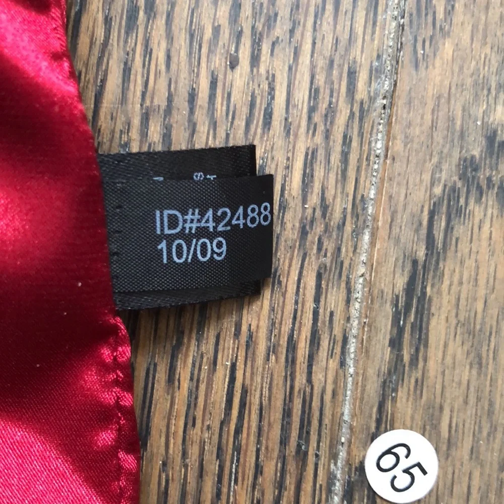 Express Silk Red Dress - Picture 7 of 8